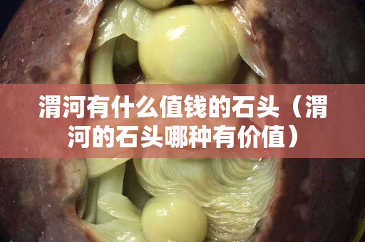 渭河有什么值钱的石头（渭河的石头哪种有价值）