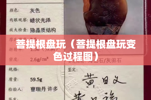 菩提根盘玩（菩提根盘玩变色过程图）