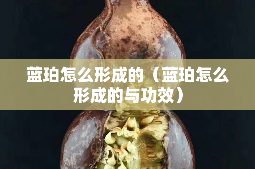 蓝珀怎么形成的（蓝珀怎么形成的与功效）