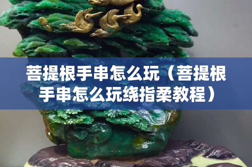 菩提根手串怎么玩（菩提根手串怎么玩绕指柔教程）