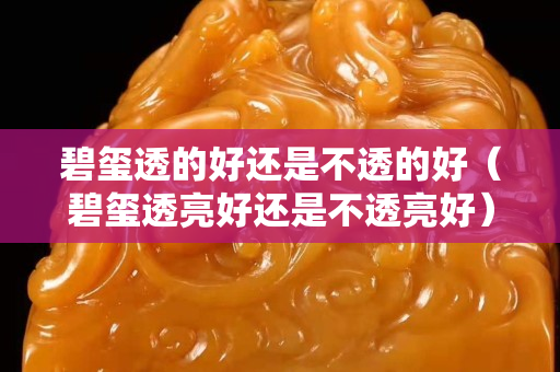碧玺透的好还是不透的好（碧玺透亮好还是不透亮好）
