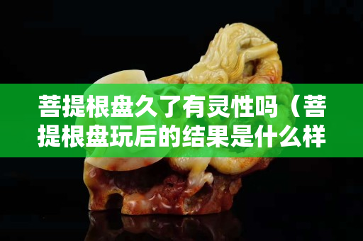 菩提根盘久了有灵性吗（菩提根盘玩后的结果是什么样）