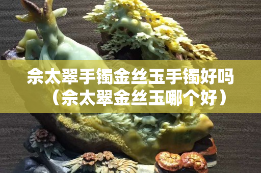 佘太翠手镯金丝玉手镯好吗（佘太翠金丝玉哪个好）