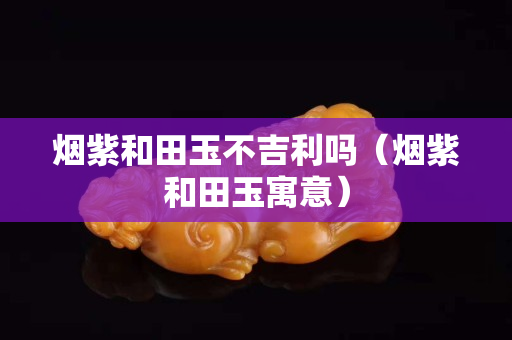 烟紫和田玉不吉利吗（烟紫和田玉寓意）