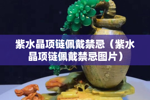 紫水晶项链佩戴禁忌（紫水晶项链佩戴禁忌图片）