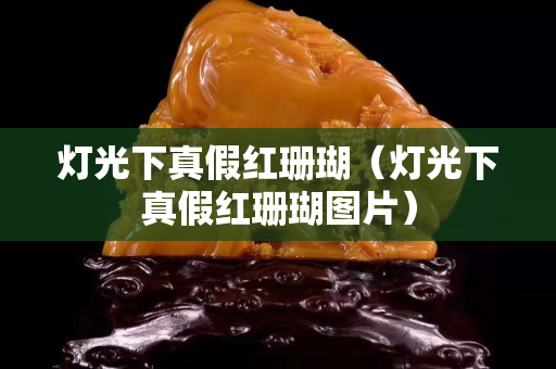 灯光下真假红珊瑚（灯光下真假红珊瑚图片）