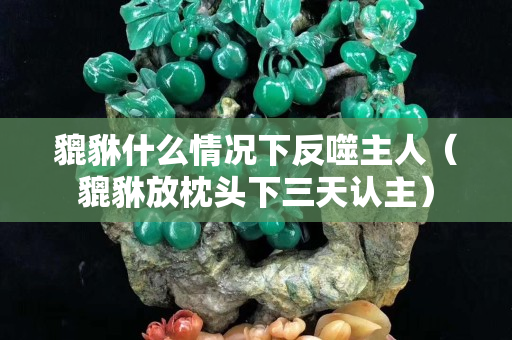 貔貅什么情况下反噬主人（貔貅放枕头下三天认主）