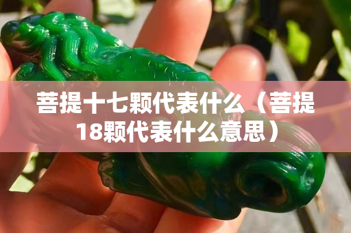 菩提十七颗代表什么（菩提18颗代表什么意思）