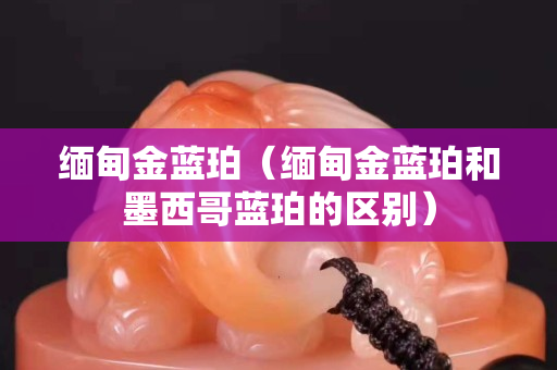 缅甸金蓝珀（缅甸金蓝珀和墨西哥蓝珀的区别）