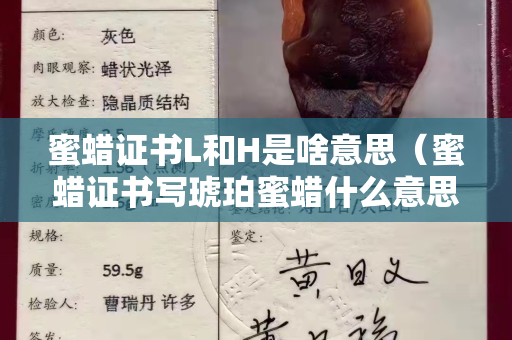 蜜蜡证书L和H是啥意思（蜜蜡证书写琥珀蜜蜡什么意思）
