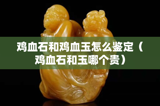 鸡血石和鸡血玉怎么鉴定（鸡血石和玉哪个贵）