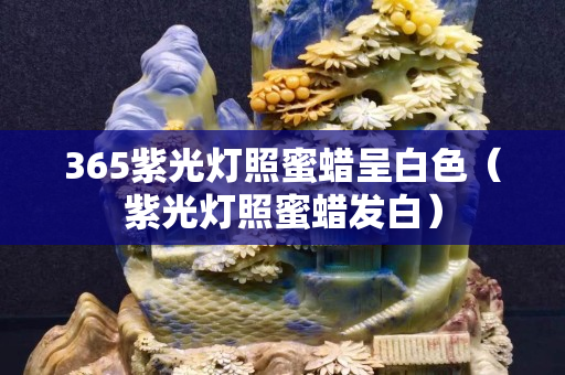 365紫光灯照蜜蜡呈白色（紫光灯照蜜蜡发白）