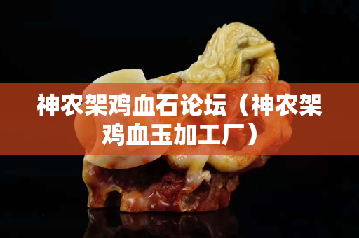 神农架鸡血石论坛（神农架鸡血玉加工厂）