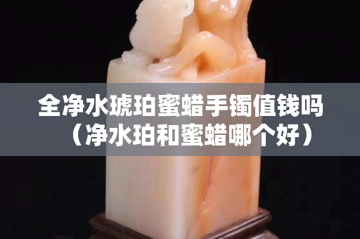 全净水琥珀蜜蜡手镯值钱吗（净水珀和蜜蜡哪个好）