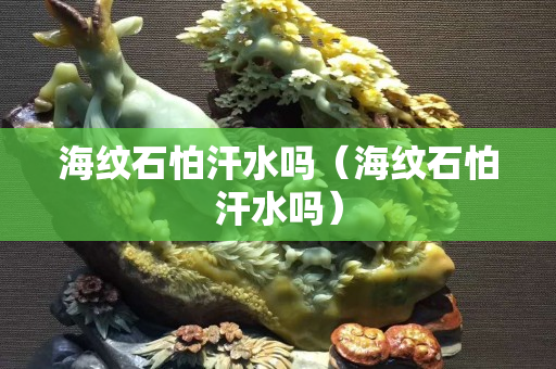 海纹石怕汗水吗（海纹石怕汗水吗）
