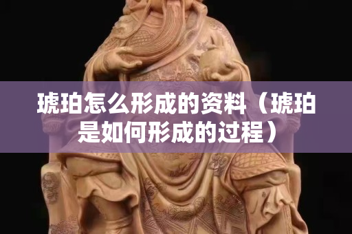 琥珀怎么形成的资料（琥珀是如何形成的过程）