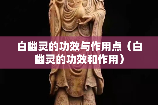 白幽灵的功效与作用点（白幽灵的功效和作用）