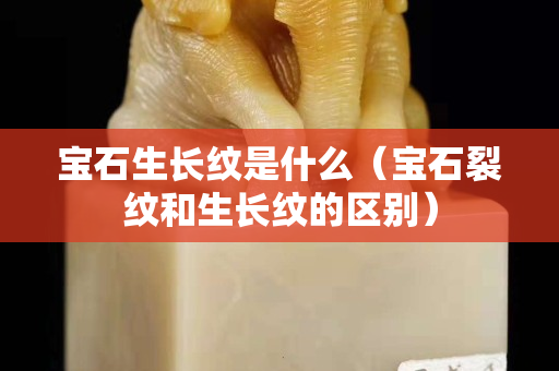 宝石生长纹是什么（宝石裂纹和生长纹的区别）