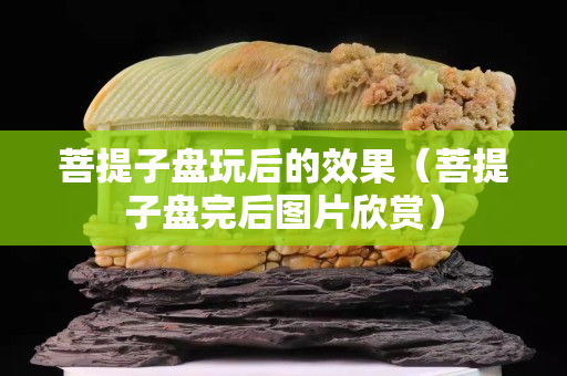 菩提子盘玩后的效果（菩提子盘完后图片欣赏）