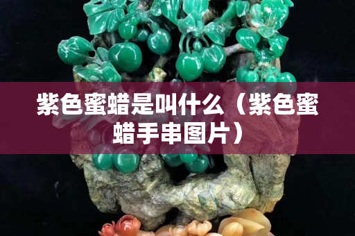 紫色蜜蜡是叫什么（紫色蜜蜡手串图片）