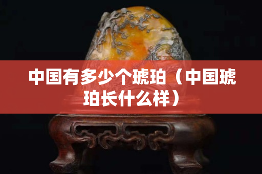 中国有多少个琥珀（中国琥珀长什么样）