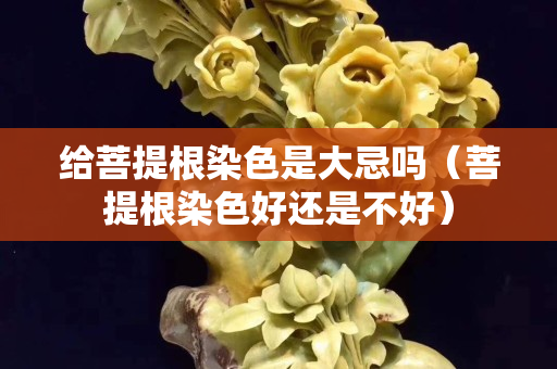 给菩提根染色是大忌吗（菩提根染色好还是不好）