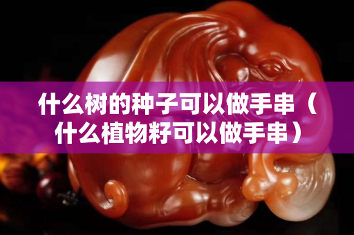 什么树的种子可以做手串（什么植物籽可以做手串）