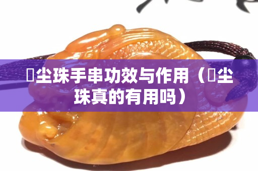雮尘珠手串功效与作用（雮尘珠真的有用吗）