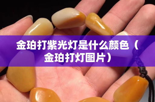 金珀打紫光灯是什么颜色（金珀打灯图片）