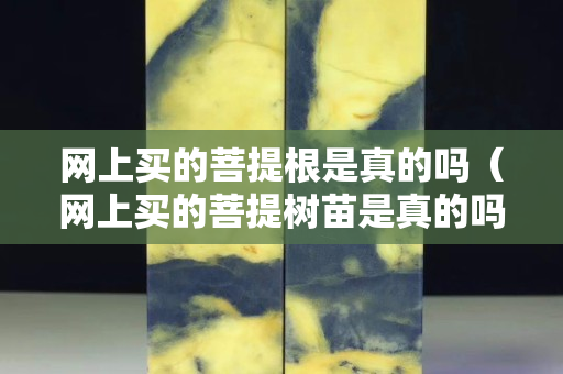 网上买的菩提根是真的吗（网上买的菩提树苗是真的吗）