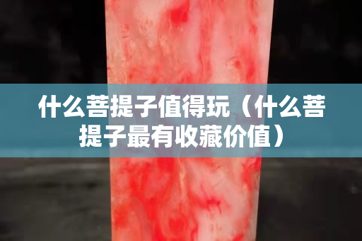什么菩提子值得玩（什么菩提子最有收藏价值）