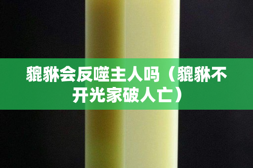 貔貅会反噬主人吗（貔貅不开光家破人亡）