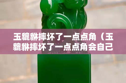 玉貔貅摔坏了一点点角（玉貔貅摔坏了一点点角会自己修复吗）