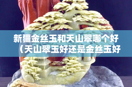 新疆金丝玉和天山翠哪个好（天山翠玉好还是金丝玉好）