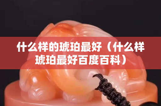 什么样的琥珀最好（什么样琥珀最好百度百科）