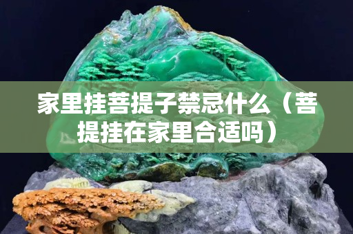 家里挂菩提子禁忌什么（菩提挂在家里合适吗）