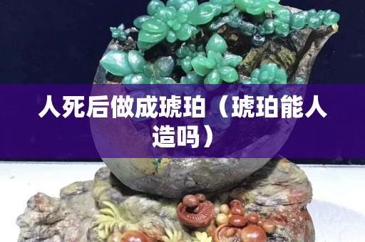 人死后做成琥珀（琥珀能人造吗）