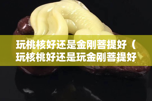 玩桃核好还是金刚菩提好（玩核桃好还是玩金刚菩提好）