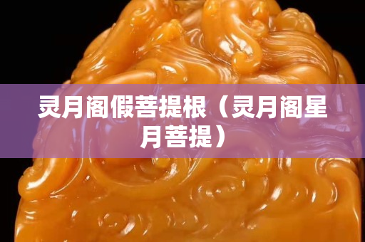 灵月阁假菩提根（灵月阁星月菩提）