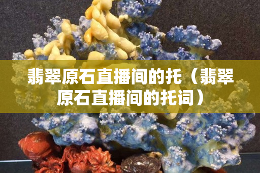 翡翠原石直播间的托（翡翠原石直播间的托词）