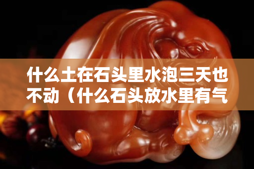 什么土在石头里水泡三天也不动（什么石头放水里有气泡）