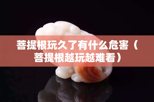 菩提根玩久了有什么危害（菩提根越玩越难看）