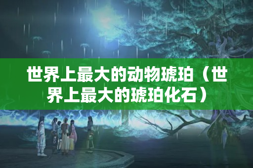 世界上最大的动物琥珀（世界上最大的琥珀化石）