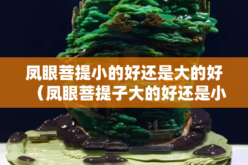 凤眼菩提小的好还是大的好（凤眼菩提子大的好还是小的好）