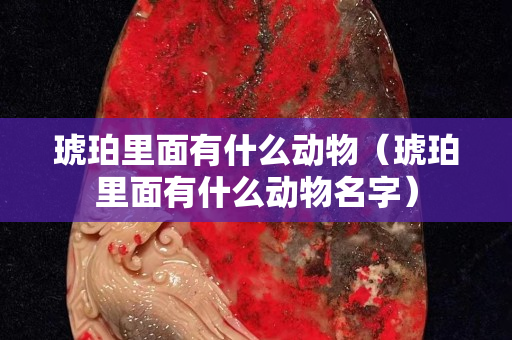 琥珀里面有什么动物（琥珀里面有什么动物名字）