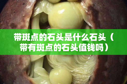 带斑点的石头是什么石头（带有斑点的石头值钱吗）