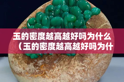 玉的密度越高越好吗为什么（玉的密度越高越好吗为什么呢）