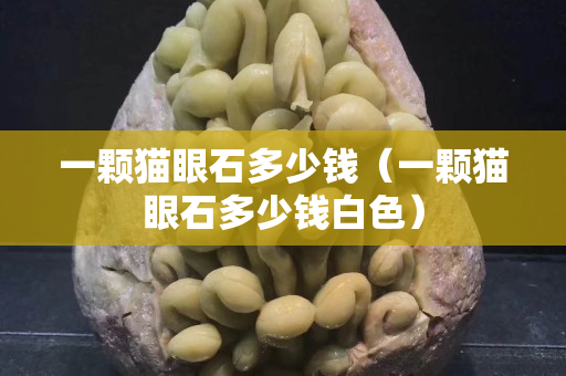一颗猫眼石多少钱（一颗猫眼石多少钱白色）