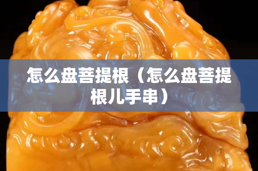 怎么盘菩提根（怎么盘菩提根儿手串）