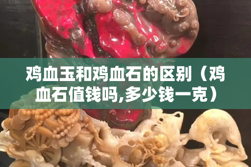 鸡血玉和鸡血石的区别（鸡血石值钱吗,多少钱一克）